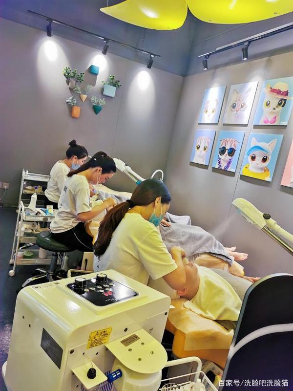 洗脸猫_我们不是美容院,我们是洗脸吧-洗脸猫